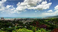 Photographers in Port of Spain