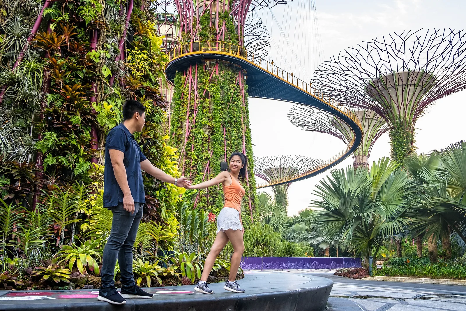 Spot #8: Cloud Forest and Botanical Garden of Singapore.