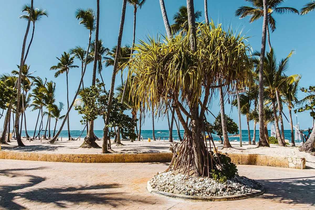 Photoshoot at Bavaro Beach