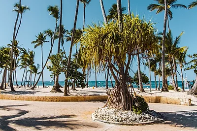 Bavaro Beach — popular photoshoot spot in The Caribbean