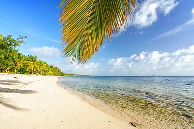 Wild Beach Macao — popular photoshoot spot in The Caribbean