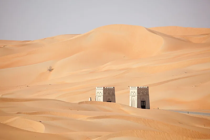 Liwa Oasis