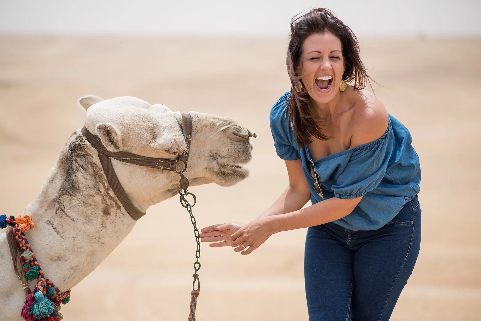Photoshoot in Egypt: advantage #4: cost & time efficiency.