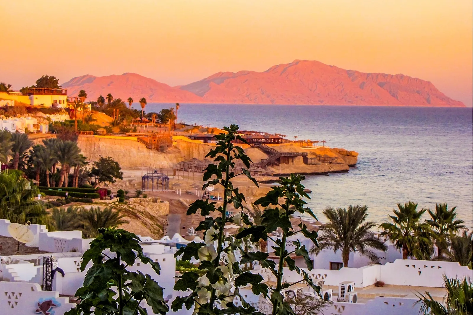 Photoshoot in Egypt: con #4: too many expectations.
