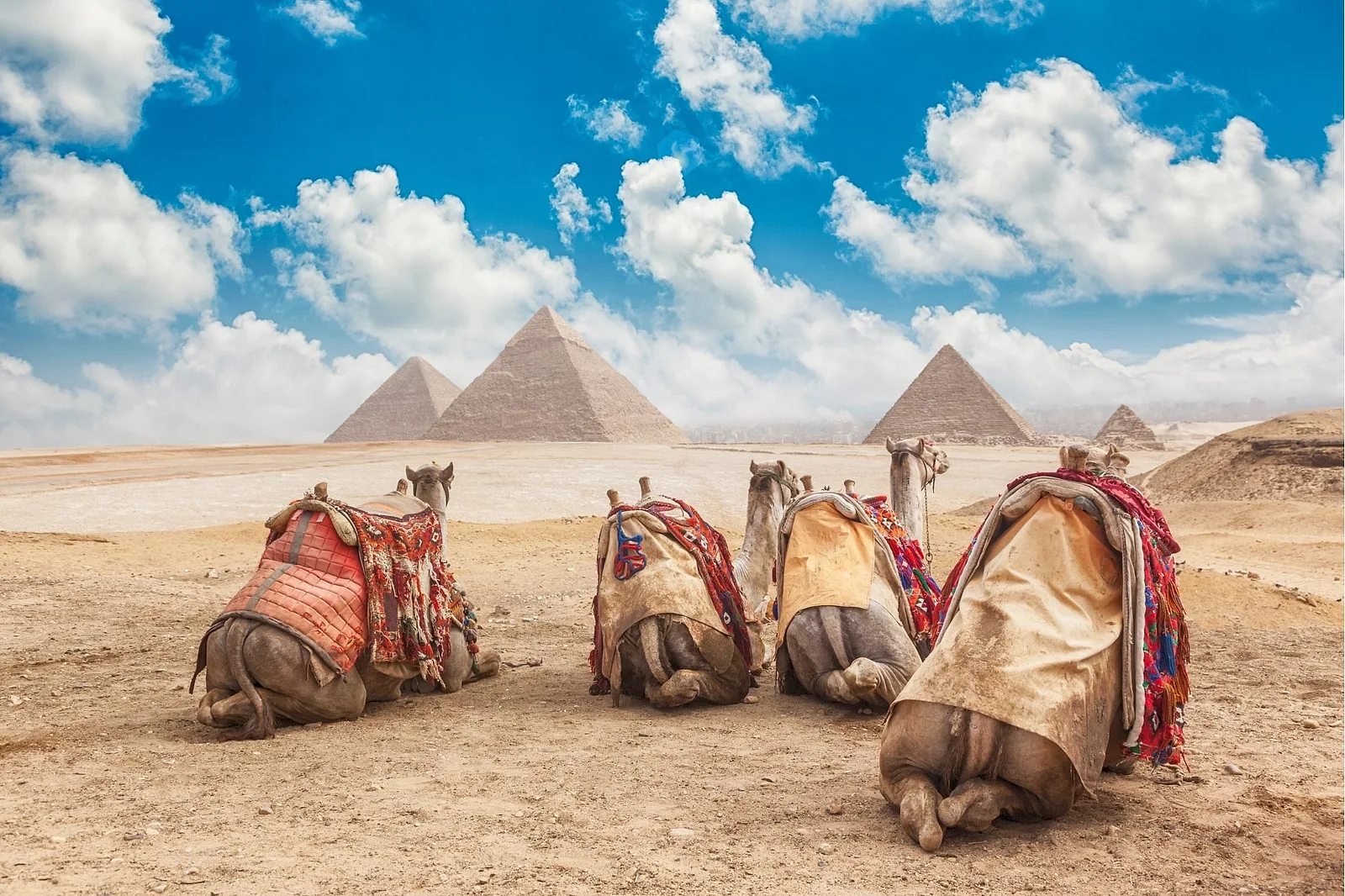 Photoshoot in Egypt: pro #3: you are not a stranger.