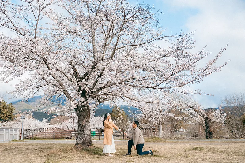 Photo by Daruma