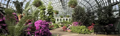 Lincoln Park Conservatory — popular photoshoot spot in Chicago