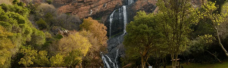 Walter Sisulu Botanical Gardens, photo spot in Johannesburg