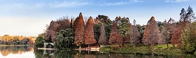 Johannesburg Botanical Gardens — popular photoshoot spot in South Africa