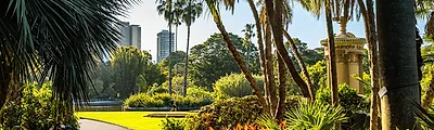 Royal Botanic Garden — popular photoshoot spot in Sydney