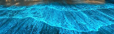 Bioluminescent Beach — popular photoshoot spot in Maldives