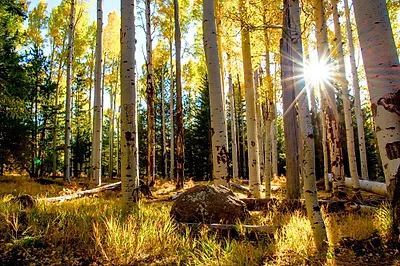 Flagstaff