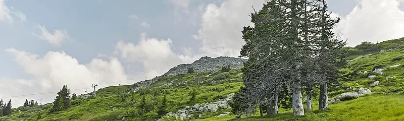 Vitosha Mountain