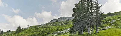 Vitosha Mountain — popular photoshoot spot in Sofia