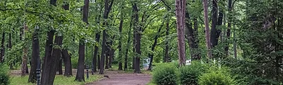 Borisova Gradina Park — popular photoshoot spot in Sofia