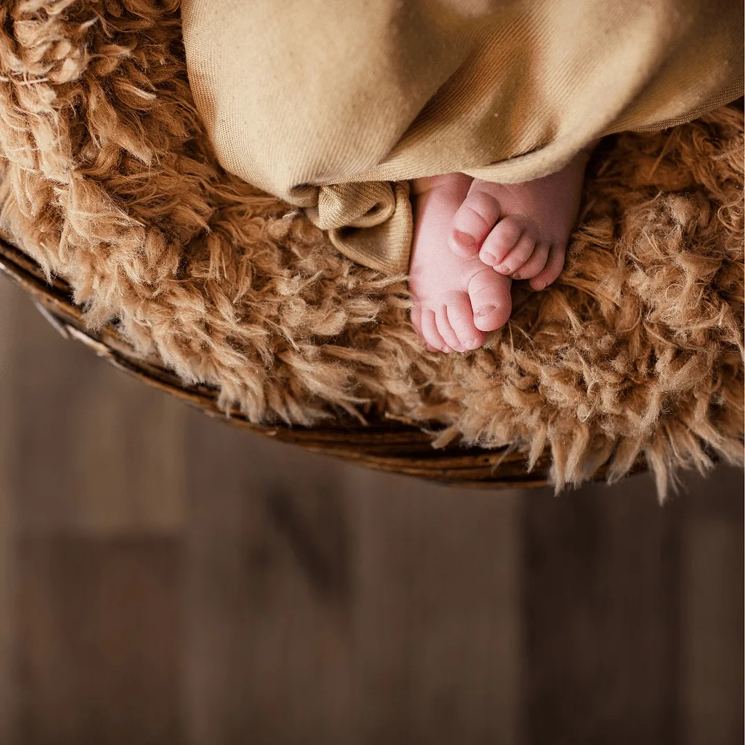 Prop #5: Fluffy and Furry Textures.
