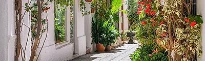Old Town Marbella — popular photoshoot spot in Marbella