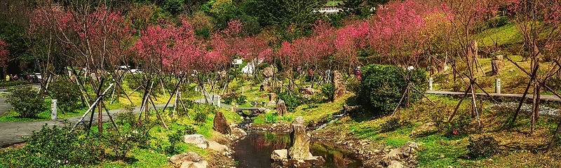 Yangmingshan National Park, photo spot in Taipei