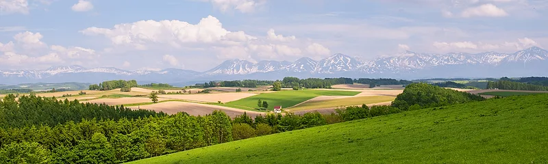 Biei and Furano