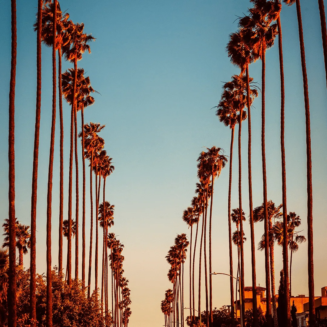 Photoshoot in Los Angeles: trust your instincts.