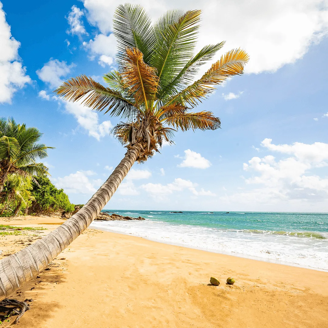 Reason #6: Capture the Scenic Beauty.
