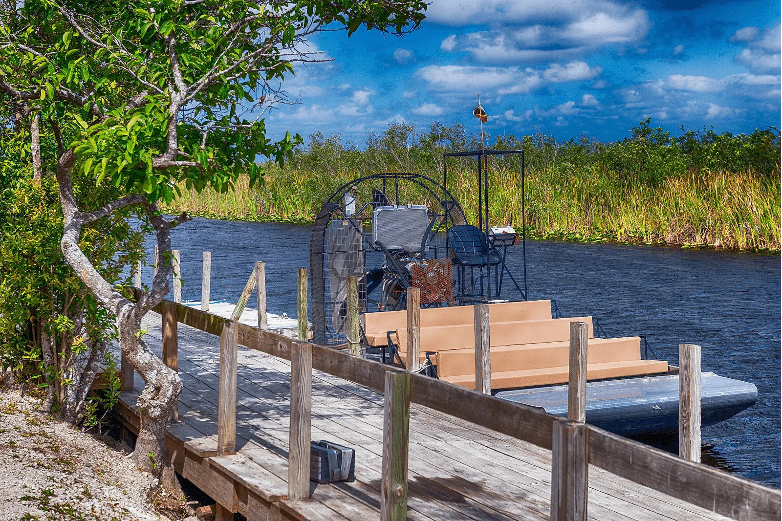 best places to propose in florida