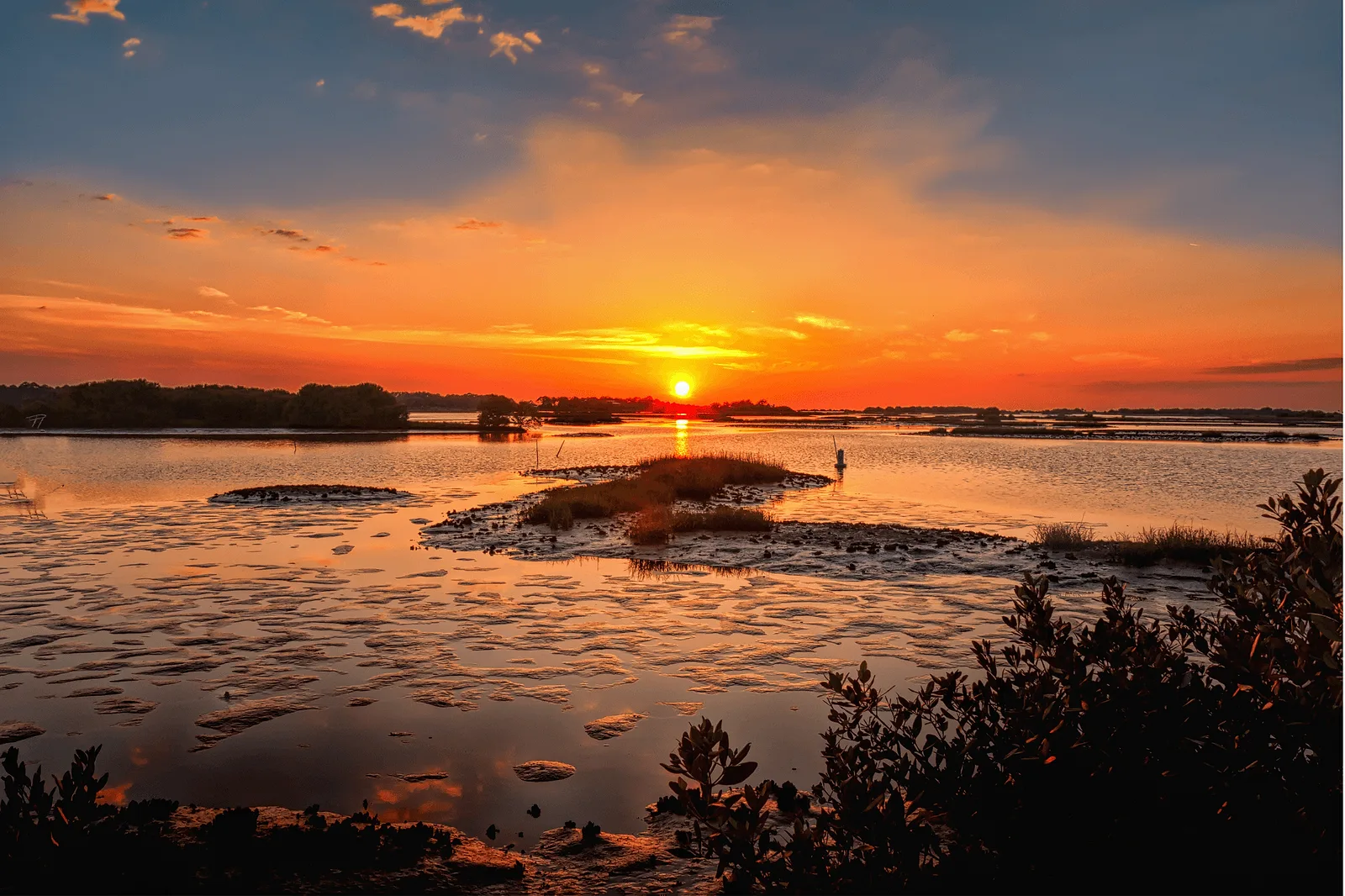 best places to propose in florida