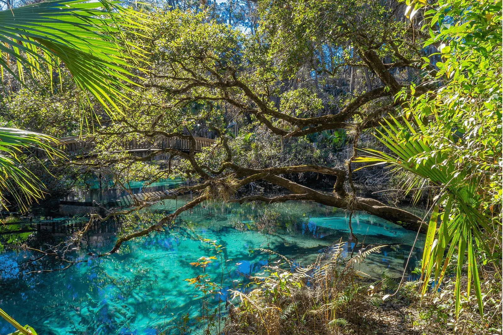 best places to propose in florida