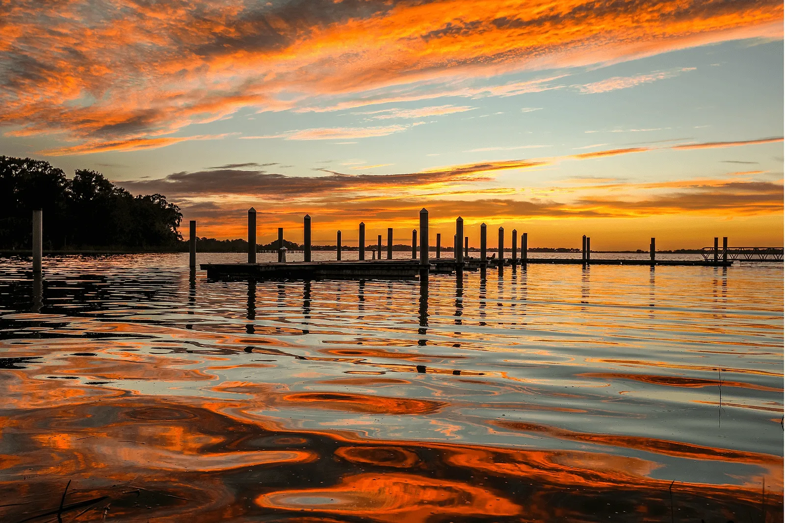best places to propose in florida