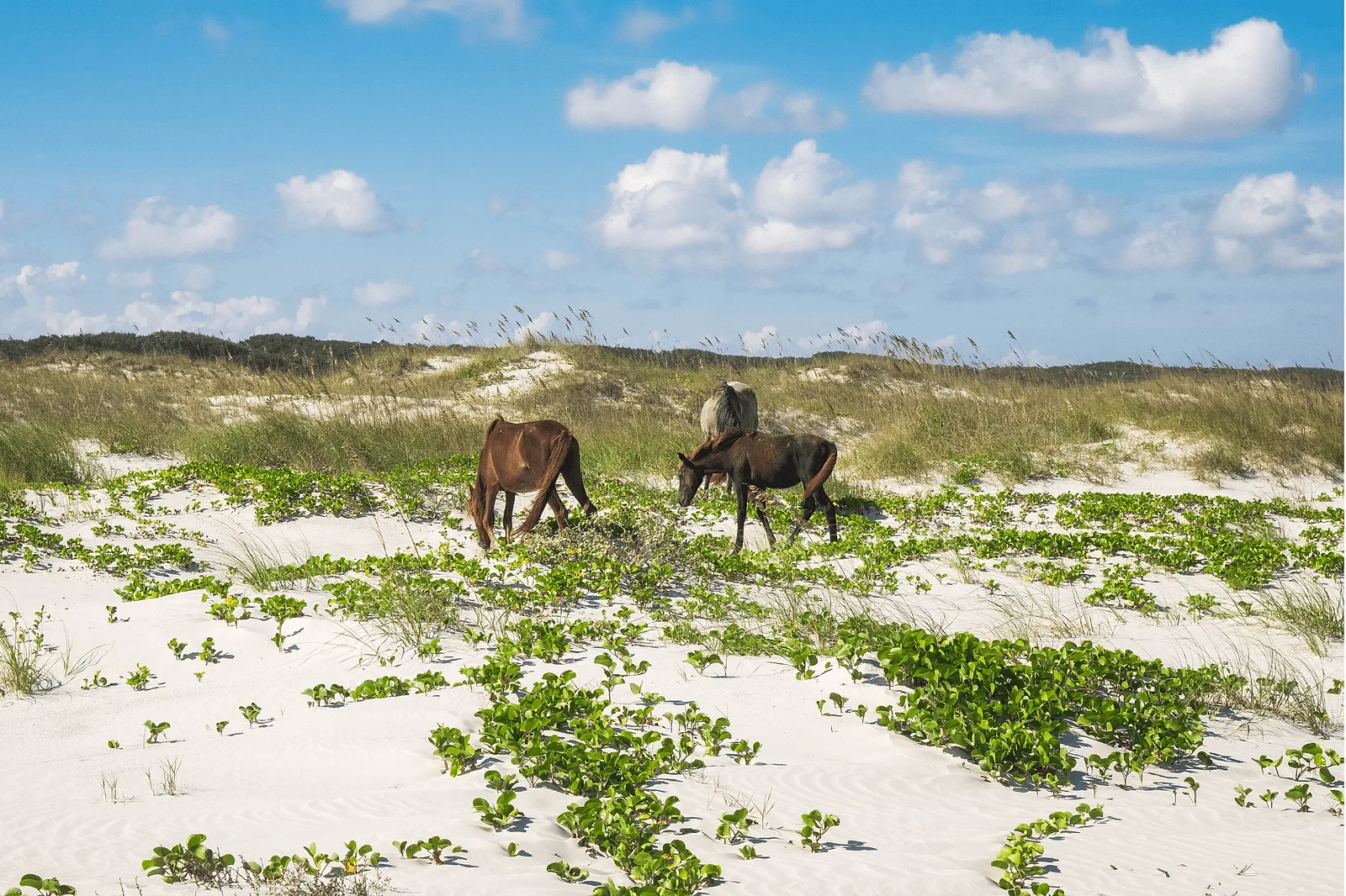 best places to propose in florida