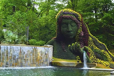 Atlanta Botanical Garden — popular photoshoot spot in Atlanta