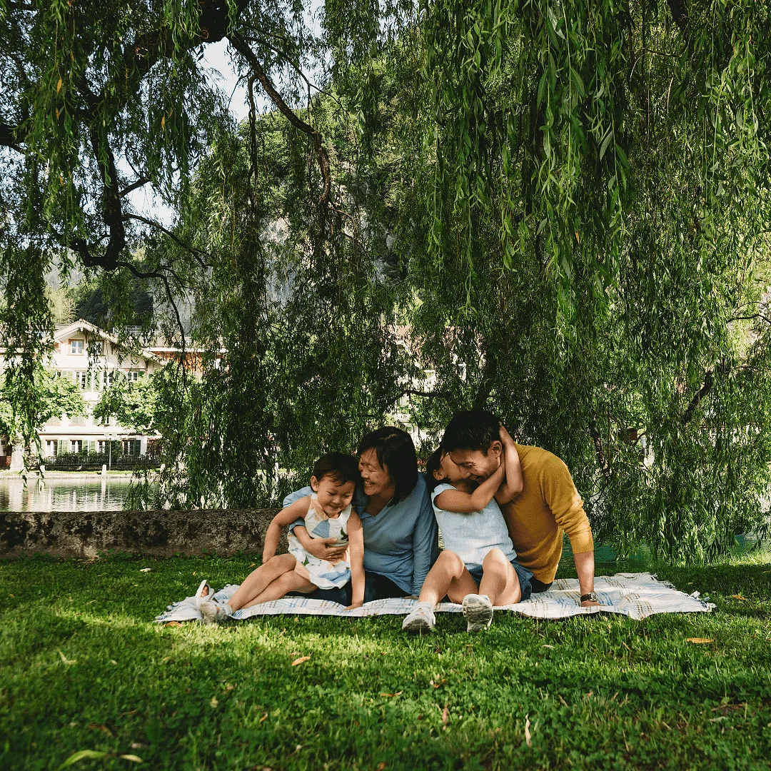 Picnic in the Park.