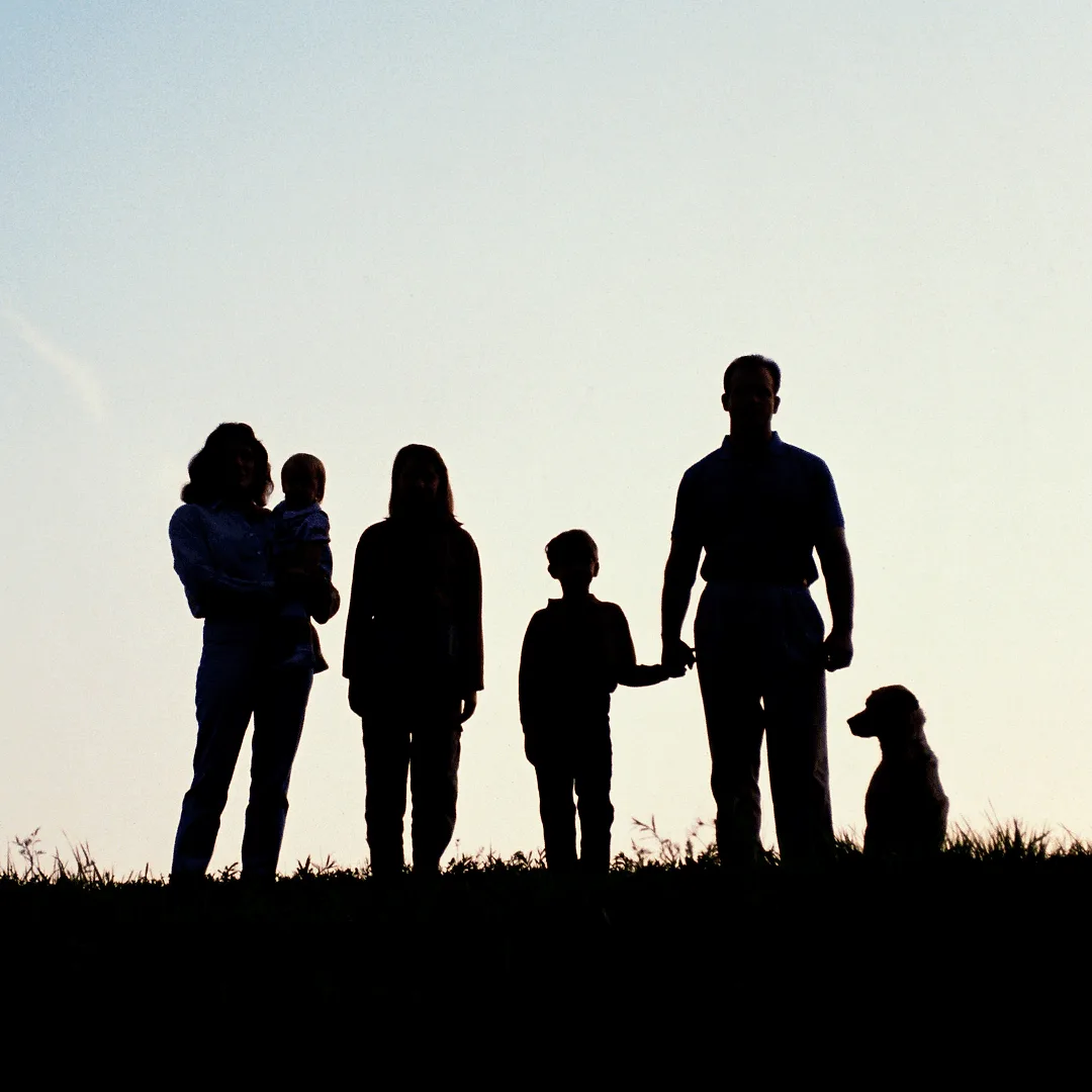 Sunset Silhouettes.