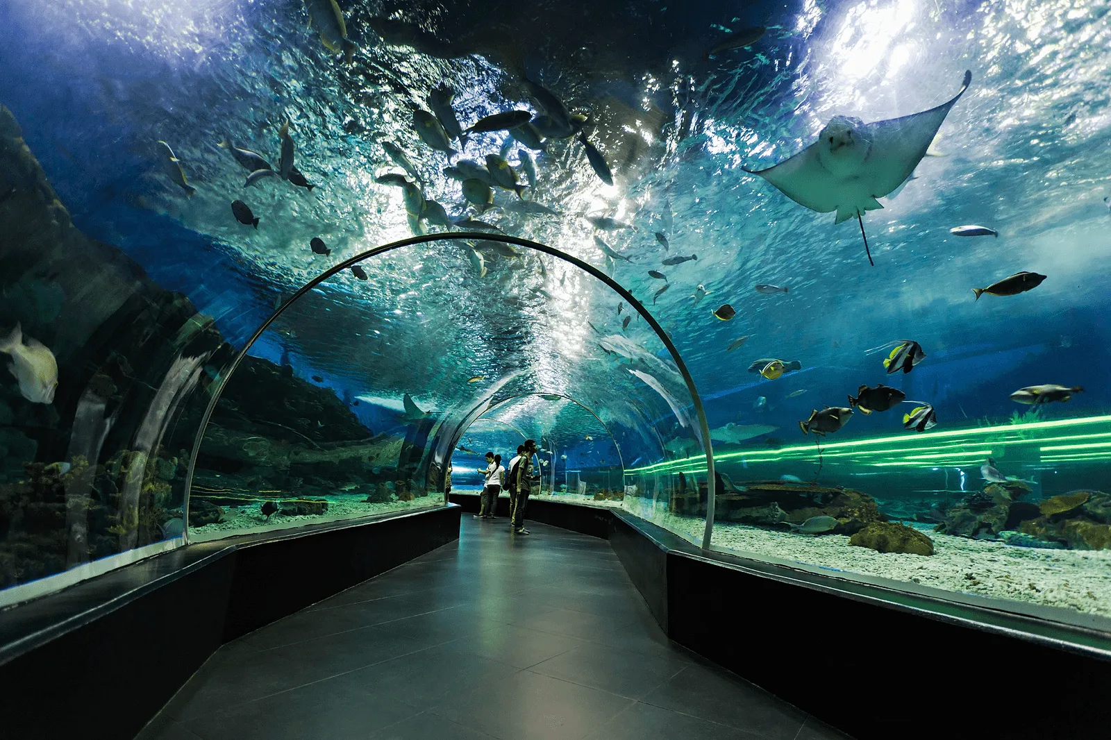 best places to propose in las vegas