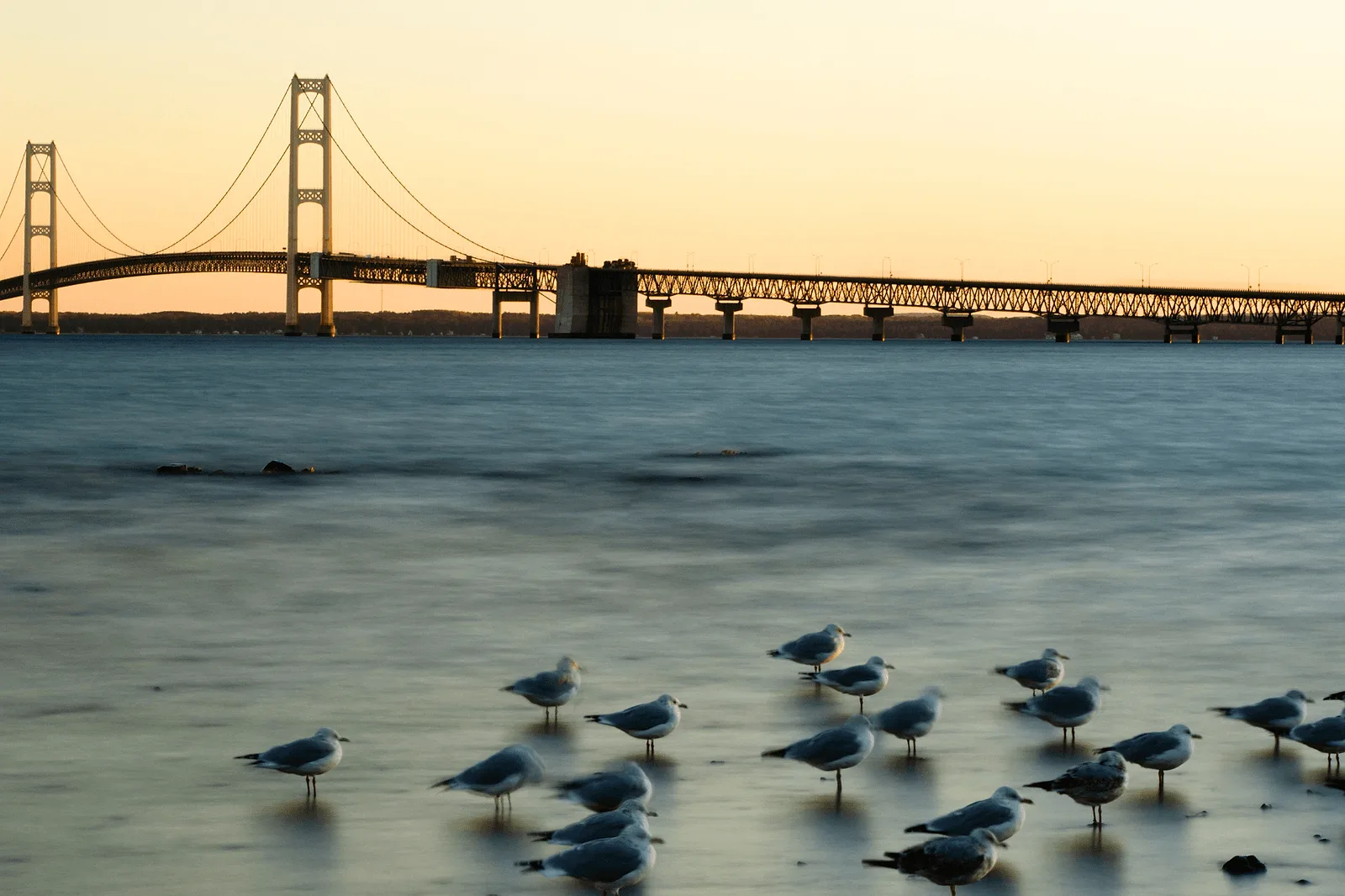 best places to propose in michigan