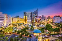 Photographers in Hamamatsu