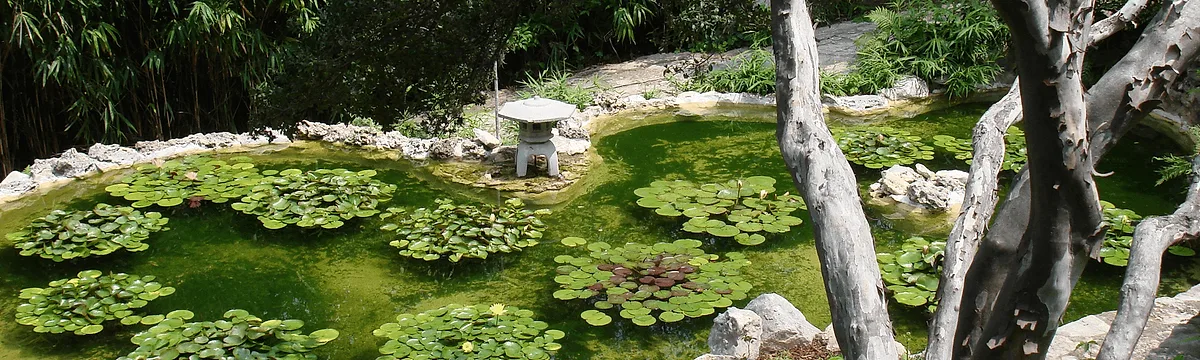 Photoshoot at Zilker Botanical Garden