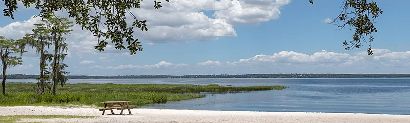 Lake Louisa State Park