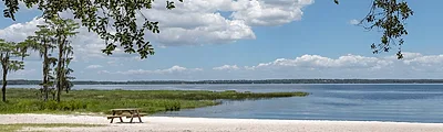 Lake Louisa State Park — popular photoshoot spot in Orlando