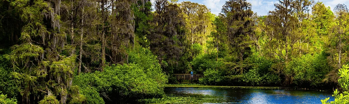 Photoshoot at Lettuce Lake Park