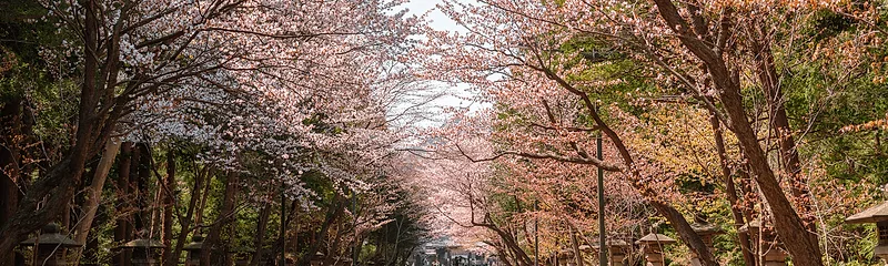 Hokkaido Shrine
