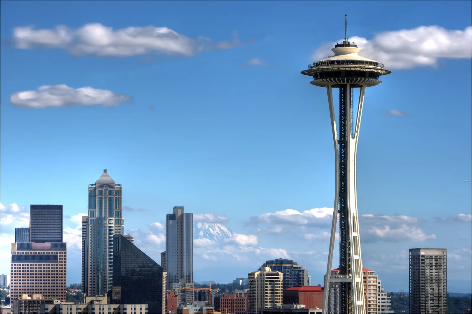 20 Things to Do in Seattle in November