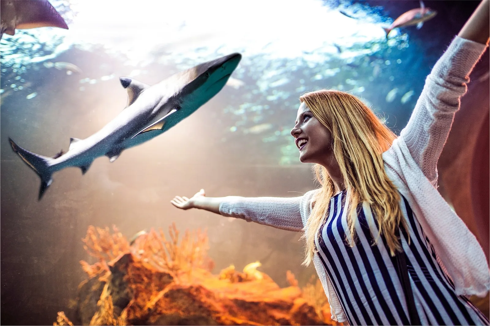 20 Things to Do in Seattle in November