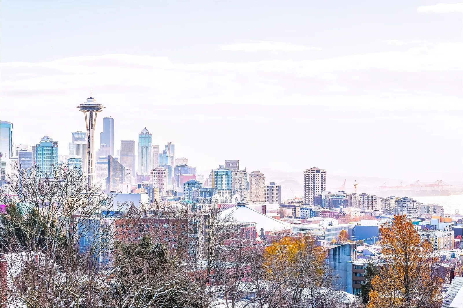 20 Things to Do in Seattle in November