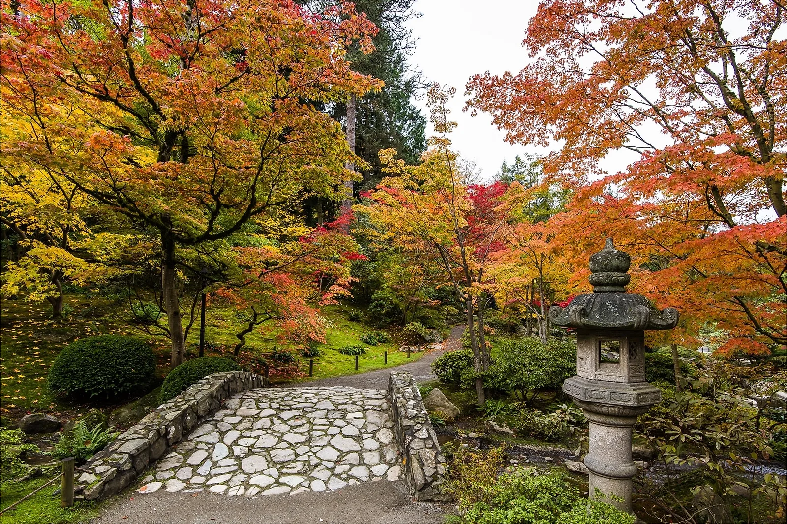 20 Things to Do in Seattle in November