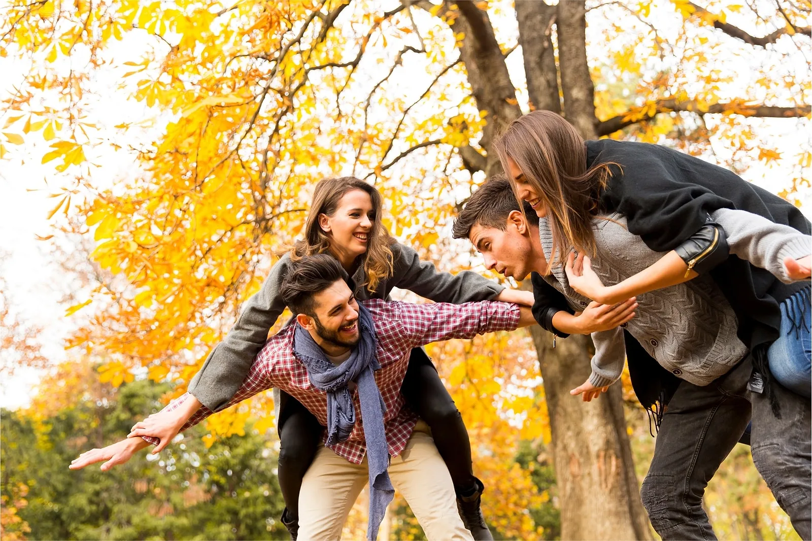 20 Things to Do in Seattle in November