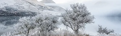 Moke Lake — popular photoshoot spot in Queenstown
