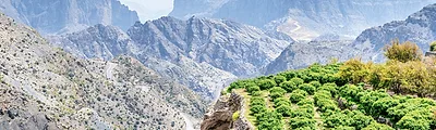 Jebel Akhdar — popular photoshoot spot in Oman