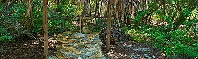 North Bimini Nature Trail — popular photoshoot spot in The Bahamas