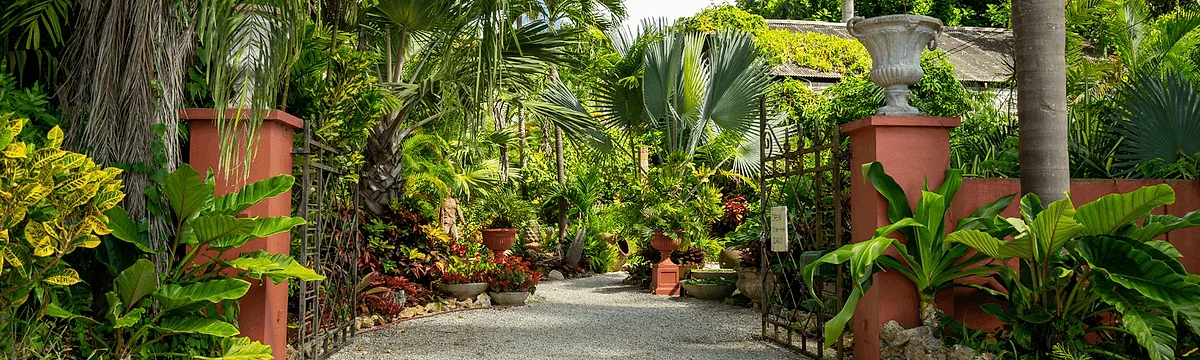 Photoshoot at Hunte’s Gardens